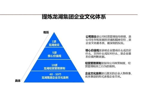 龙湖企业管理与运营精细化管理